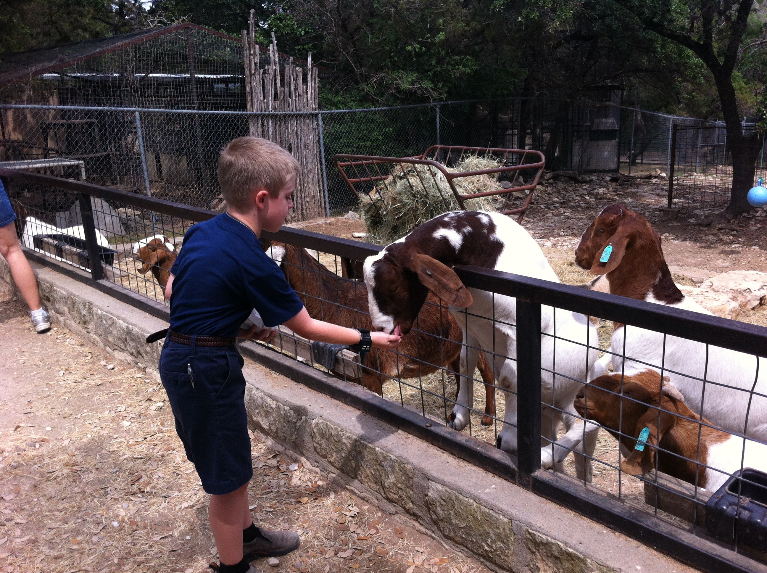 2012-04-09-17-Austin Zoo with Ian.jpg